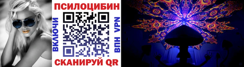 Купить где  Чебоксары  Галлюциногенные грибы Psilocybine cubensis 